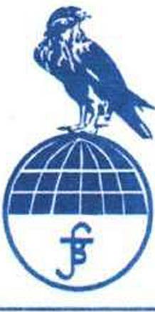 Blue Shadow General Trading LLC logo